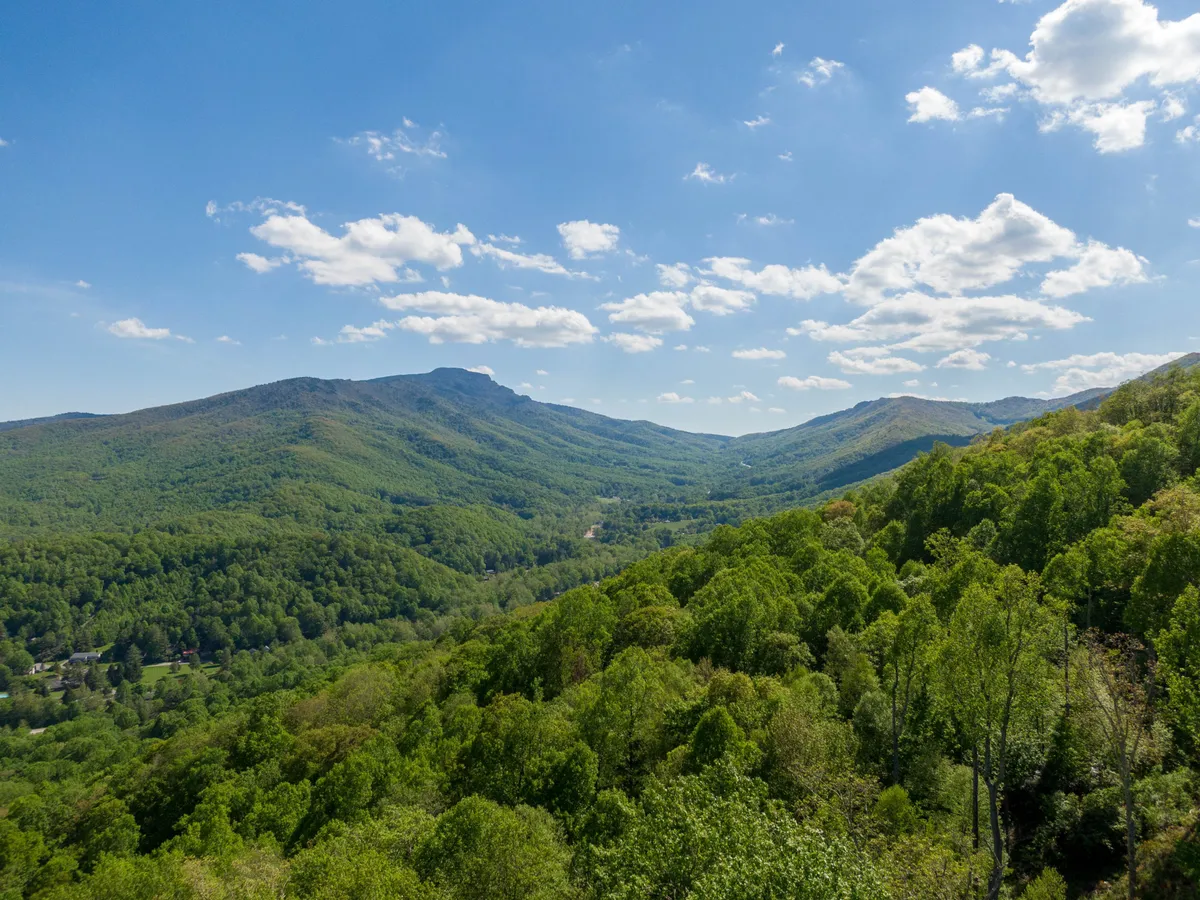 A breathtaking view of the mountains framed by lush greenery and a wide blue sky, evoking a sense of expansive outdoor adventure and natural beauty. The scene hints at opportunities for hiking, nature walks, wildlife watching, and peaceful moments surrounded by nature.